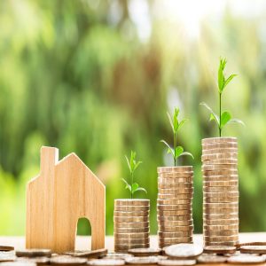 Investing in a Property